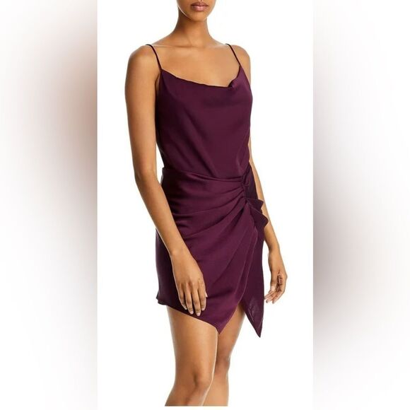 NWT IRO Paris Lipa Mini Dress Sz FR 38 / US 6) Burgundy - Picture 1 of 16